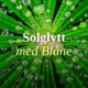 Nærbilde av grønt blad med duggdråper.